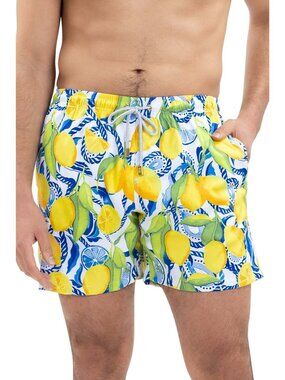 NWT KENNY FLOWERS The Bossitano Lemon Print Lined Breathable Swim Trunks Medium